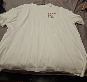 American Eagle Outfitters White Surf Graphic Tee